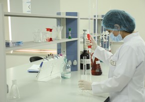 İnstitut: Laboratoriyalarda meyvələrdə nitratların təyini müasir texnologiya əsasında həyata keçirilir