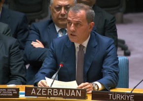  Джейхун Байрамов выступил на заседании Совета Безопасности ООН