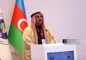 Глава Арабского парламента: Из-за недавних событий в мире многие страны столкнулись с экономическим кризисом
