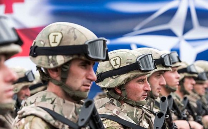 Учения НАТО Достойный партнер начнутся в Грузии в конце июля