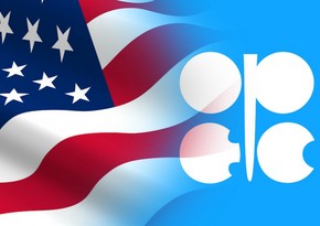 ОПЕК понизила прогноз по добыче нефти в США в 2023 году