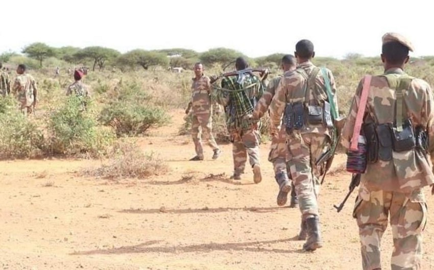 Somali forces kill dozens of militants following attack