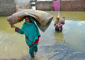 Rain death toll in Pakistan rises to 209