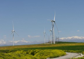 Новые ветряные станции 103,5 мегаватт планируется установить на западе Грузии
