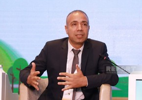 Elnur Soltanov: Enerji istehsalının 17 %-i bərpaolunan mənbələrin payına düşür