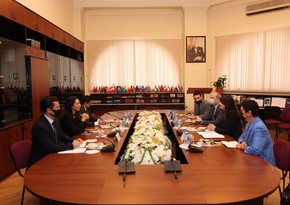  Омбудсмен Азербайджана и координатор ООН обсудили перспективы дальнейшего сотрудничества