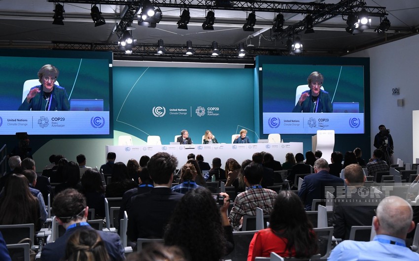 World Meteorological Organization's report presented in Baku within COP29