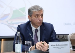 Вугар Гюльмамедов: В прошлом году Азербайджан не привлекал внешние заимствования