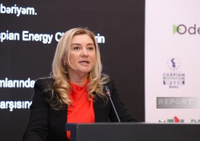 EBRD: Azərbaycan iqtisadiyyatında mikro, kiçik və orta biznesin payı əlavə dəyərin 15 %-nə bərabərdir