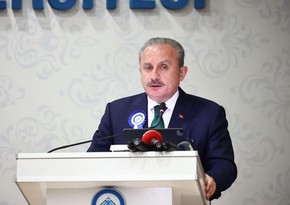 Председатель парламента Турции привился вакциной TURKOVAC