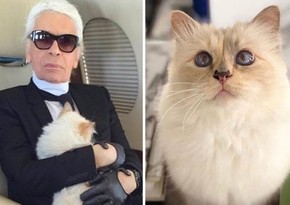 Karl Lagerfeld’s famous cat Choupette to inherit’ her fortune