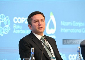 Yalchin Rafiyev: COP29 team to hold seminar on combating climate change in July