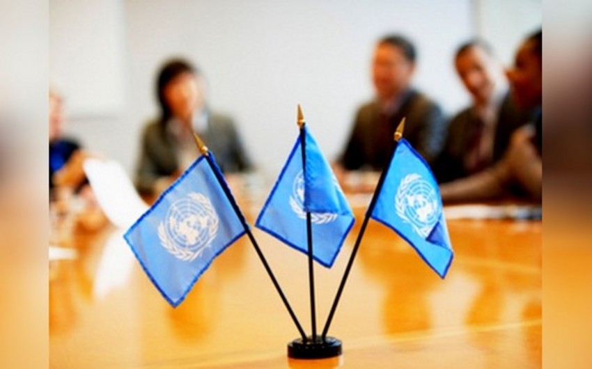 Оон и международных вопросы. Комитеты ООН. Защита ООН. ООН В современном мире.