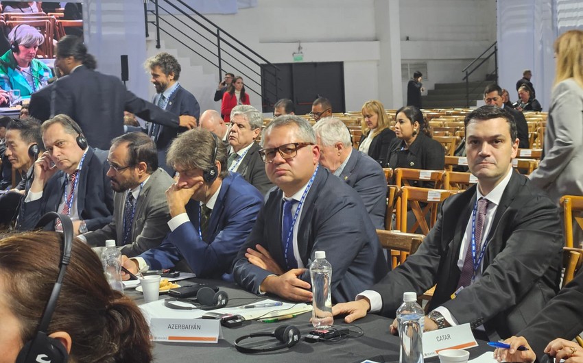 Azerbaijan ambassador unveils plan to hold small island states' summit at COP29