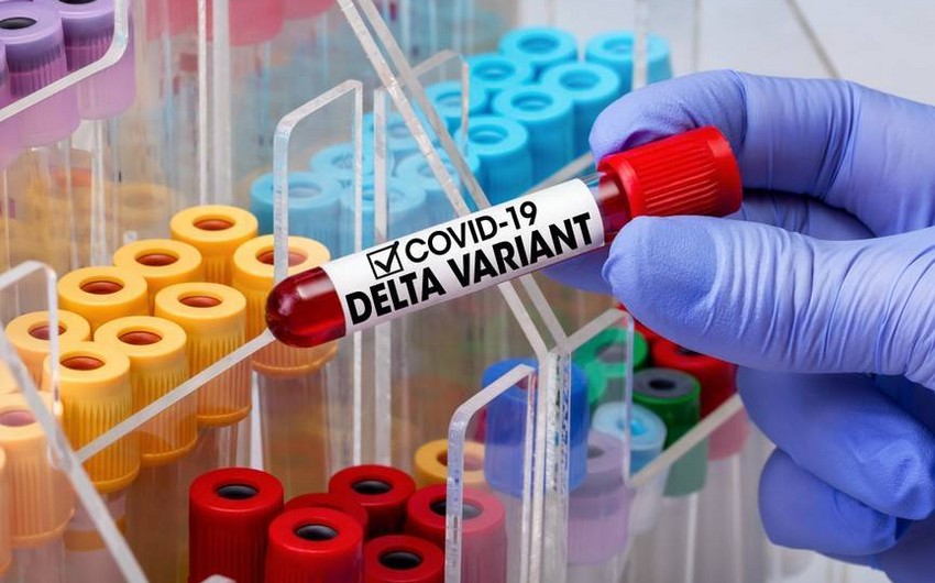 В ВОЗ назвали штамм коронавируса дельта самым заразным