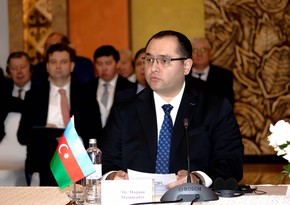 Azerbaijan invites Turkic states to produce agro products under single brand