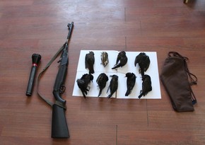 В Балакене задержали подозреваемых в браконьерстве