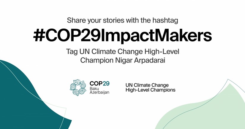 В рамках COP29 запущена глобальная кампания Impact Makers