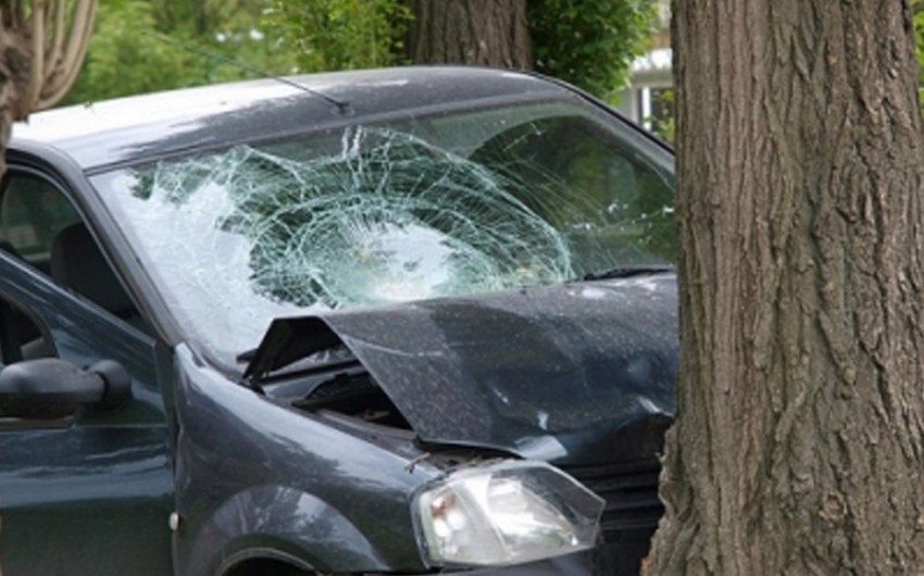 В Загатале автомобиль врезался в дерево, один пострадавший
