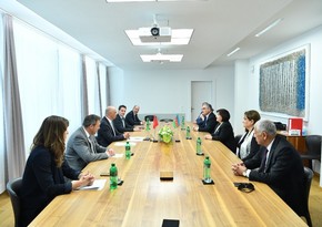 Председатель Милли Меджлиса встретилась с вице-президентом Швейцарии
