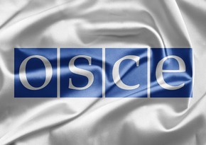 В Госдуму внесли проект заявления о приостановке работы России в ПА ОБСЕ  