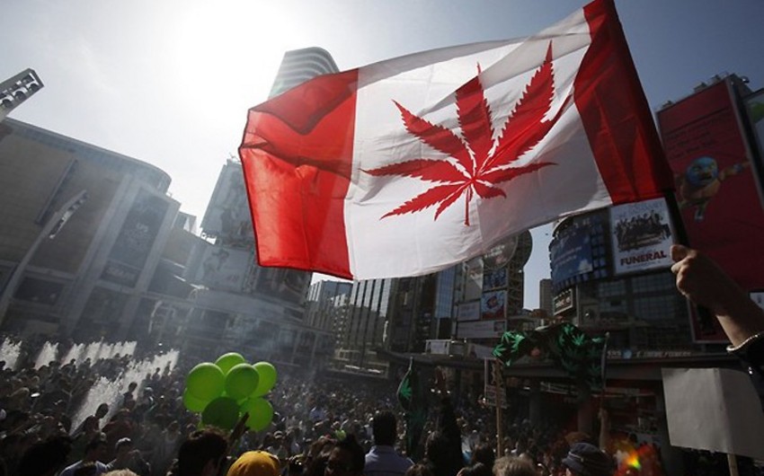 ​Канада легализирует марихуану в 2017 году