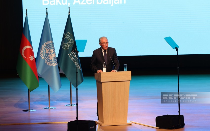 COP29 president: COP29 Declaration to be released in coming days