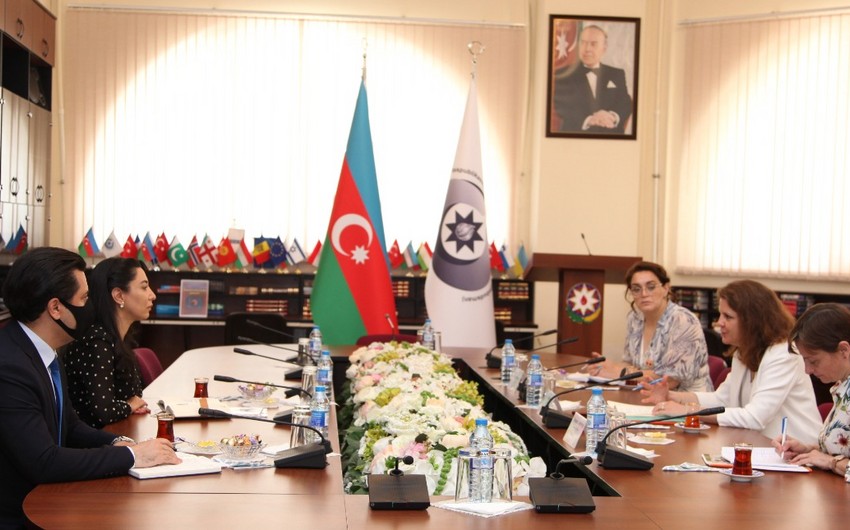 Azerbaijani ombudsman raises issue of mining before ICRC reps
