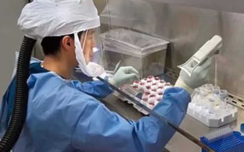 Китай начал испытания вакцин против птичьего гриппа H7N9