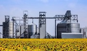 Kazakhstan builds $68M oilseed processing plant