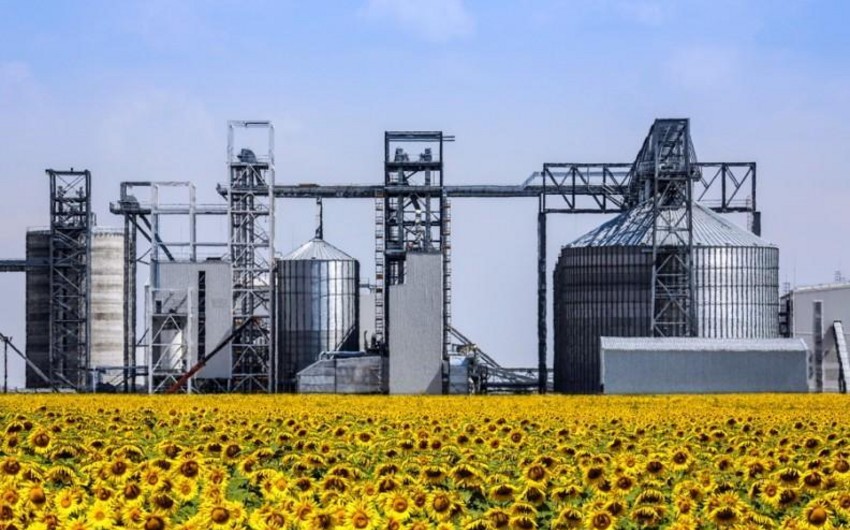 Kazakhstan builds $68M oilseed processing plant