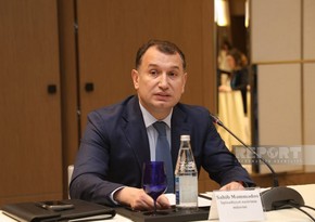 Deputy Minister: Liberation of Azerbaijan’s lands creates new investment opportunity