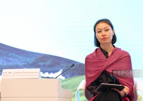 Kazakhstan's presidential advisor: Azerbaijan aims to create unified platform for climate transparency