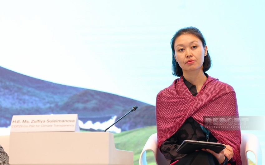 Kazakhstan's presidential advisor: Azerbaijan aims to create unified platform for climate transparency