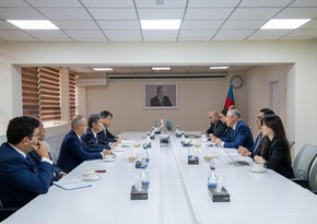 Azerbaijan, Japan mull bilateral cooperation issues