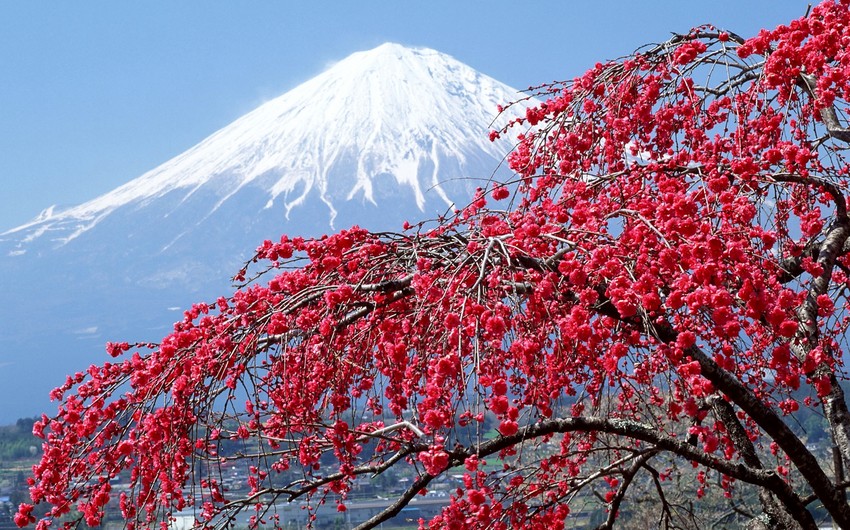 Yaponiyanı 2015-ci ildə 20 milyona yaxın turist ziyarət edib