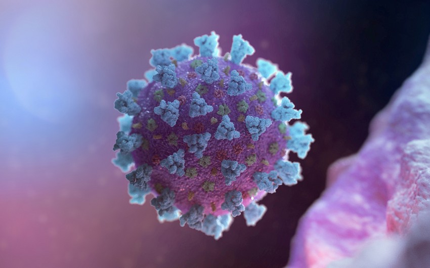 Nevropatoloq koronavirusla bağlı şayiə yayanlara çağırış edib
