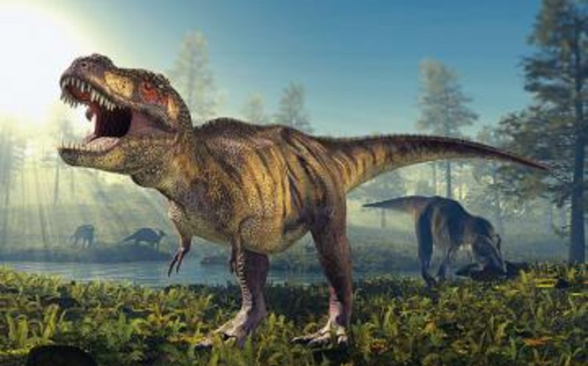 ​В штате Вашингтон нашли останки динозавра