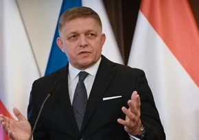 Fico's return to duties months away, Slovak official says