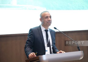 Elnur Soltanov: Azərbaycan alternativ enerji ilə qonşu ölkələri də təmin edəcək