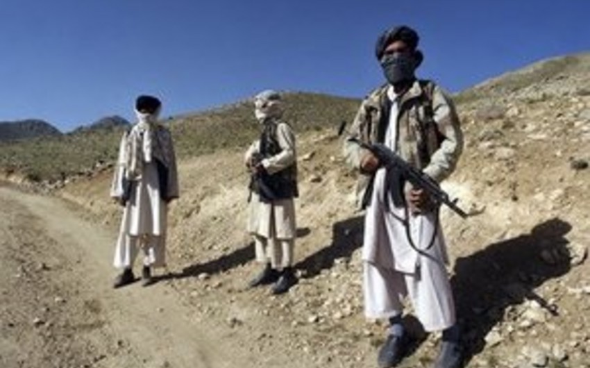 Переговоры властей Афганистана с Талибаном пройдут в начале марта в Исламабаде