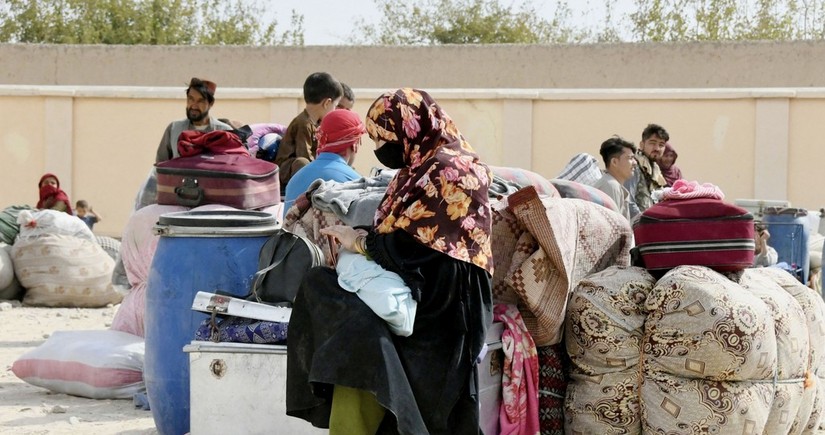 Германия намерена вернуть на родину афганских беженцев через Узбекистан