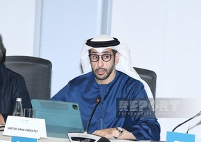 UAE official: Decisions made at COP29 to make great contributions to renewable energy