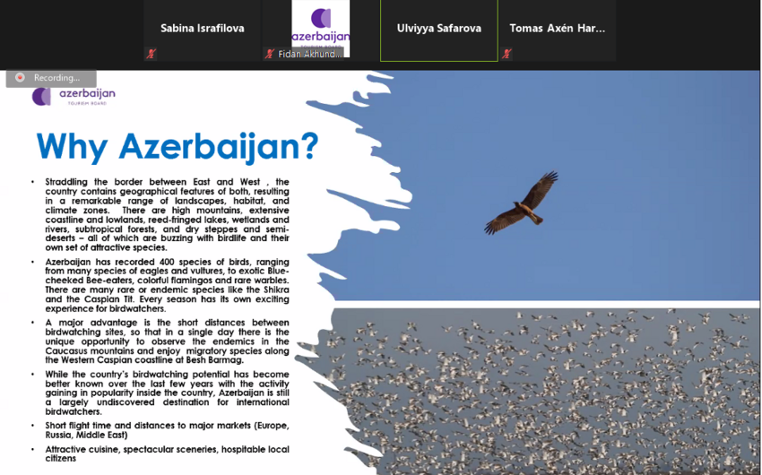 Azerbaijan develops strategy for birdwatching tourism