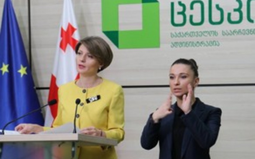 В ЦИК Грузии подано около 500 жалоб  в связи с выборами