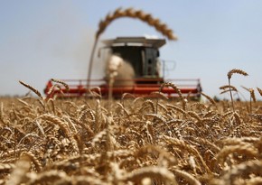 Иран намерен увеличить импорт зерна из России