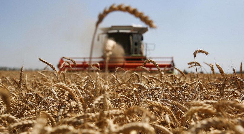 Iran eyes increasing grain imports from Russia