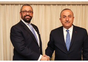 Главы МИД Турции и Великобритании провели встречу в рамках G20