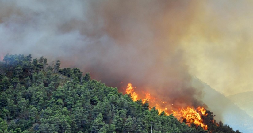 Wildfires ravage forests in three Turkish provinces