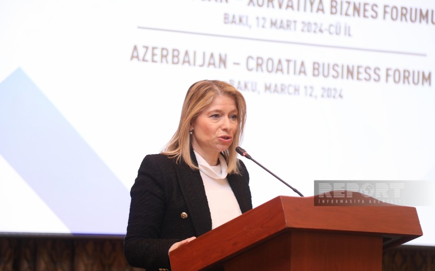 Silva Stipić Kobal: 14 leading Croatian companies registered in Azerbaijan